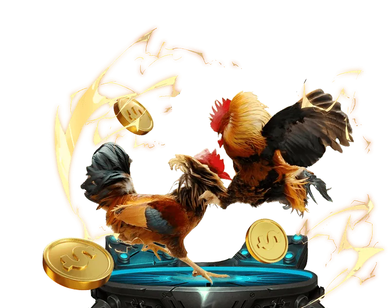 Tổng quan nền tảng đá gà trực tuyến đáng tin cậy